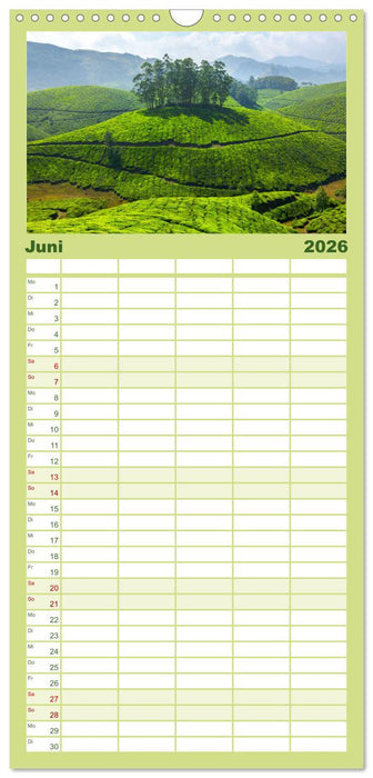 It's Tea Time (CALVENDO Familienplaner 2026)