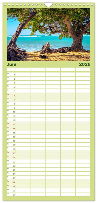Hawaii - Ein tropisches Paradies. (CALVENDO Familienplaner 2026)