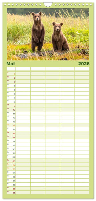 Bären - Pandas, Grizzlybären und Co. (CALVENDO Familienplaner 2026)