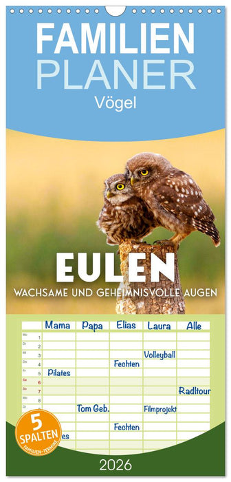 Eulen - Wachsame und geheimnisvolle Augen (CALVENDO Familienplaner 2026)