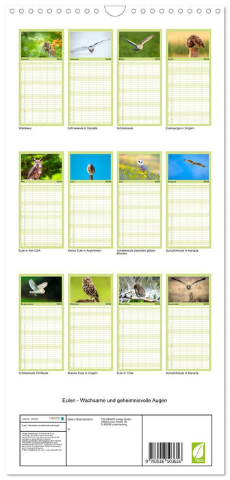 Eulen - Wachsame und geheimnisvolle Augen (CALVENDO Familienplaner 2026)