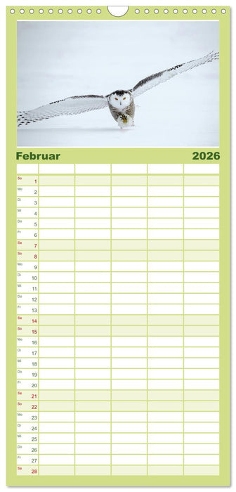 Eulen - Wachsame und geheimnisvolle Augen (CALVENDO Familienplaner 2026)