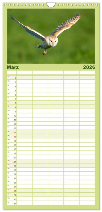 Eulen - Wachsame und geheimnisvolle Augen (CALVENDO Familienplaner 2026)