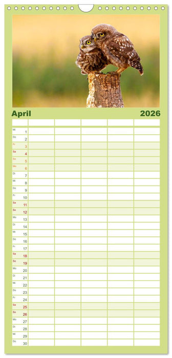 Eulen - Wachsame und geheimnisvolle Augen (CALVENDO Familienplaner 2026)