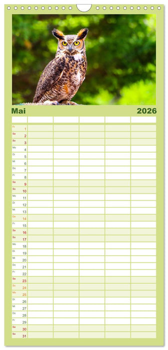 Eulen - Wachsame und geheimnisvolle Augen (CALVENDO Familienplaner 2026)