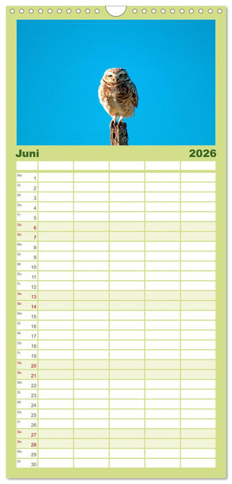 Eulen - Wachsame und geheimnisvolle Augen (CALVENDO Familienplaner 2026)