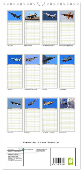 VIPER ACTION - F-16 FIGHTING FALCON (CALVENDO Familienplaner 2026)