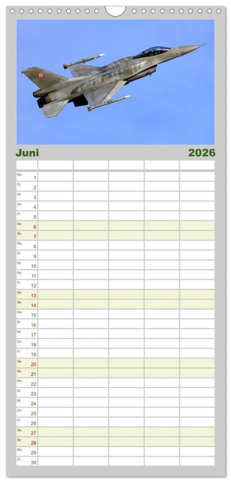 VIPER ACTION - F-16 FIGHTING FALCON (CALVENDO Familienplaner 2026)