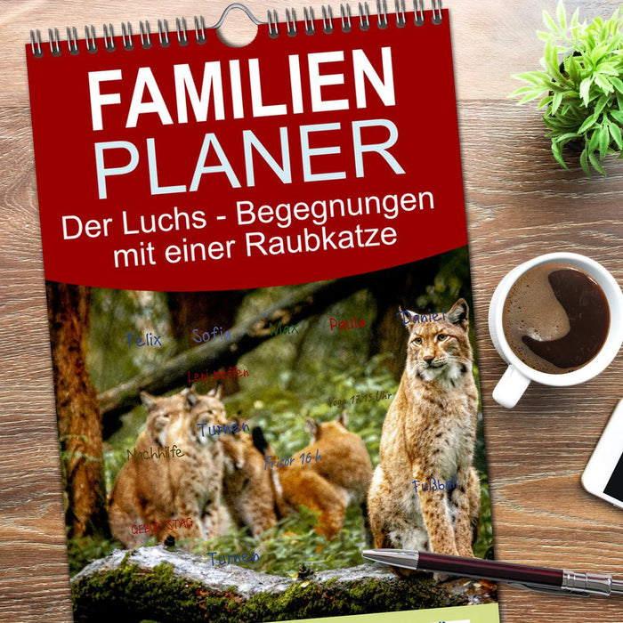 Der Luchs - Begegnungen mit einer Raubkatze (CALVENDO Familienplaner 2026)