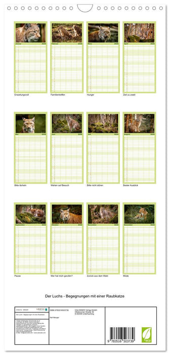 Der Luchs - Begegnungen mit einer Raubkatze (CALVENDO Familienplaner 2026)