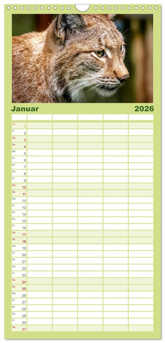 Der Luchs - Begegnungen mit einer Raubkatze (CALVENDO Familienplaner 2026)