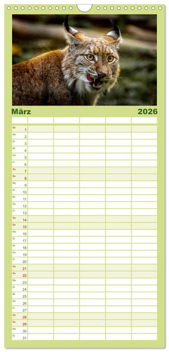Der Luchs - Begegnungen mit einer Raubkatze (CALVENDO Familienplaner 2026)