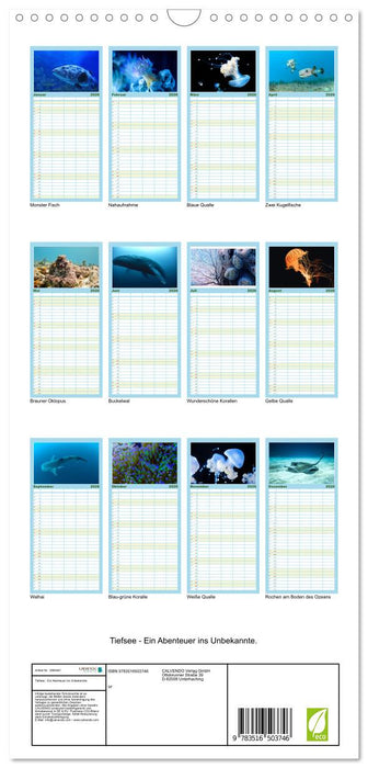 Tiefsee - Ein Abenteuer ins Unbekannte. (CALVENDO Familienplaner 2026)
