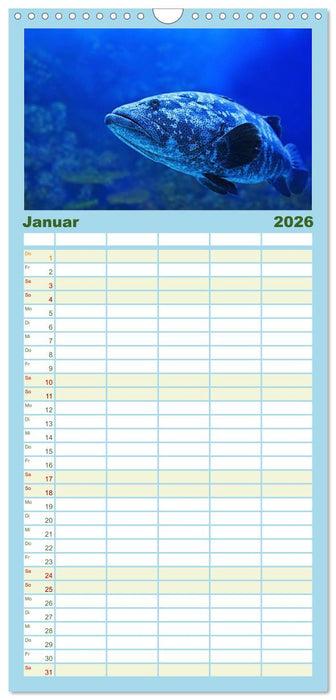 Tiefsee - Ein Abenteuer ins Unbekannte. (CALVENDO Familienplaner 2026)