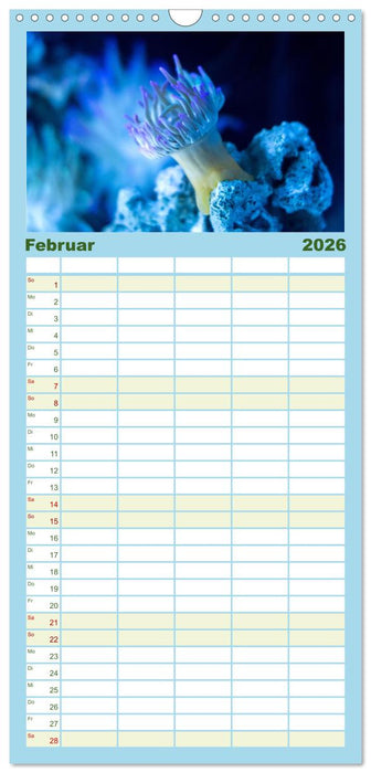 Tiefsee - Ein Abenteuer ins Unbekannte. (CALVENDO Familienplaner 2026)