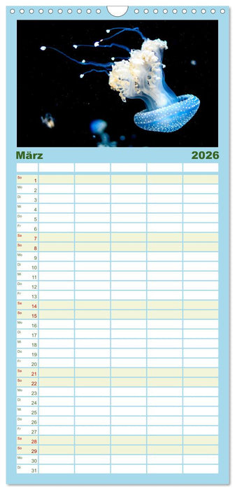 Tiefsee - Ein Abenteuer ins Unbekannte. (CALVENDO Familienplaner 2026)