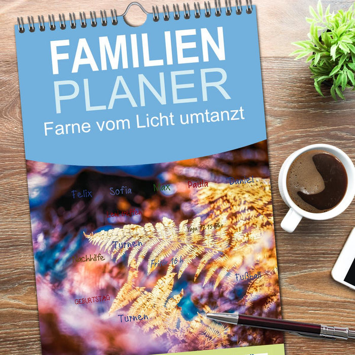 Farne vom Licht umtanzt (CALVENDO Familienplaner 2026)