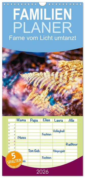 Farne vom Licht umtanzt (CALVENDO Familienplaner 2026)