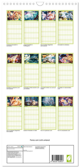 Farne vom Licht umtanzt (CALVENDO Familienplaner 2026)