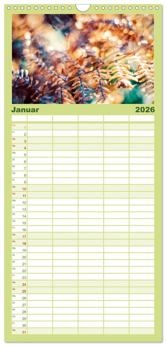 Farne vom Licht umtanzt (CALVENDO Familienplaner 2026)