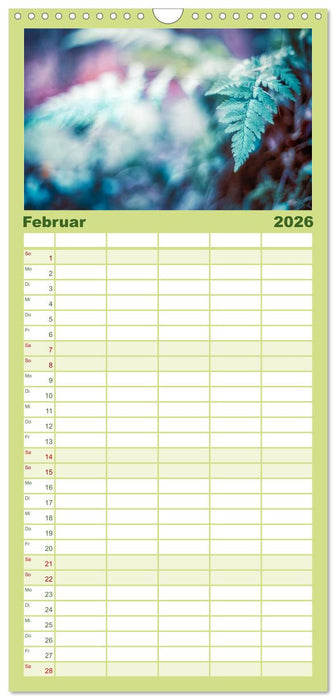 Farne vom Licht umtanzt (CALVENDO Familienplaner 2026)