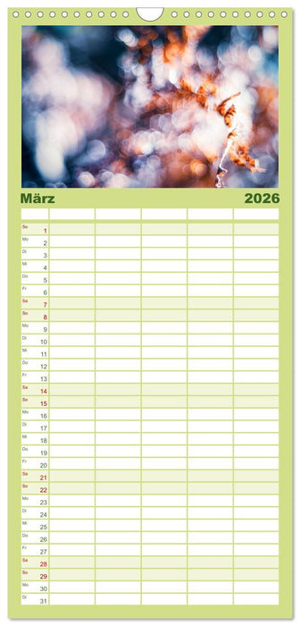 Farne vom Licht umtanzt (CALVENDO Familienplaner 2026)