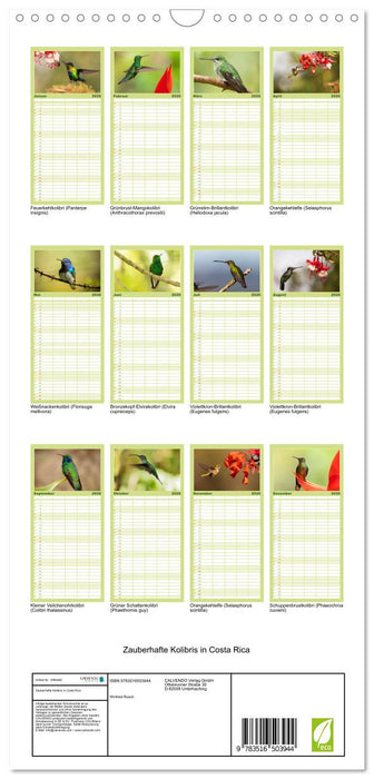 Zauberhafte Kolibris in Costa Rica (CALVENDO Familienplaner 2026)