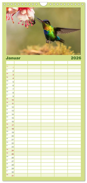 Zauberhafte Kolibris in Costa Rica (CALVENDO Familienplaner 2026)