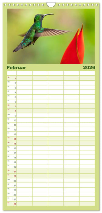 Zauberhafte Kolibris in Costa Rica (CALVENDO Familienplaner 2026)