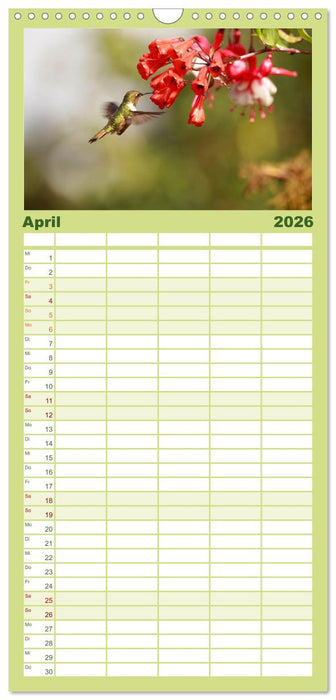 Zauberhafte Kolibris in Costa Rica (CALVENDO Familienplaner 2026)