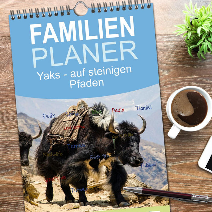 Yaks - auf steinigen Pfaden (CALVENDO Familienplaner 2026)
