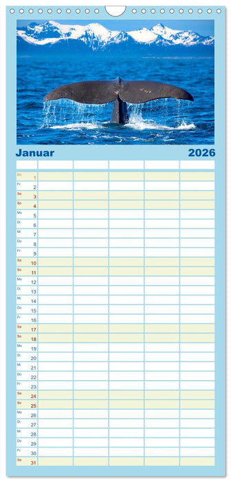 Wale - Die Riesen der Meere. (CALVENDO Familienplaner 2026)