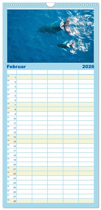 Wale - Die Riesen der Meere. (CALVENDO Familienplaner 2026)