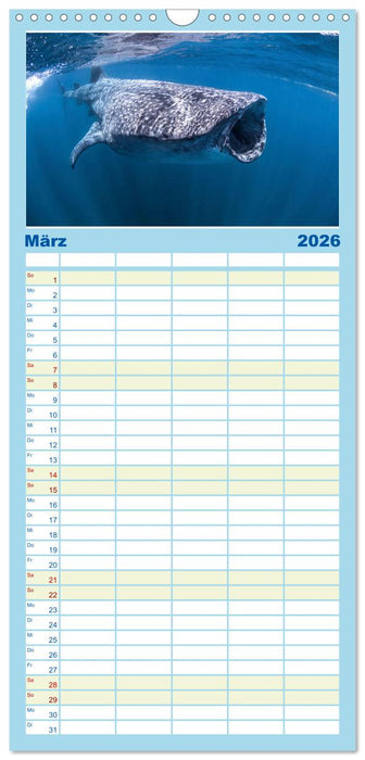 Wale - Die Riesen der Meere. (CALVENDO Familienplaner 2026)