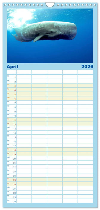 Wale - Die Riesen der Meere. (CALVENDO Familienplaner 2026)