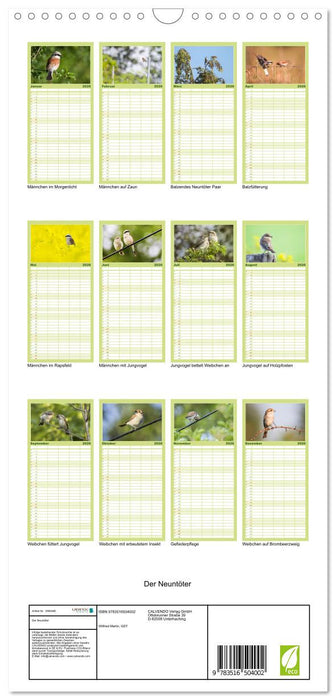 Der Neuntöter (CALVENDO Familienplaner 2026)