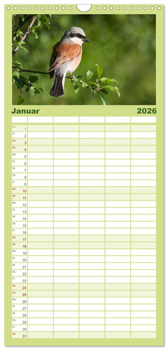 Der Neuntöter (CALVENDO Familienplaner 2026)