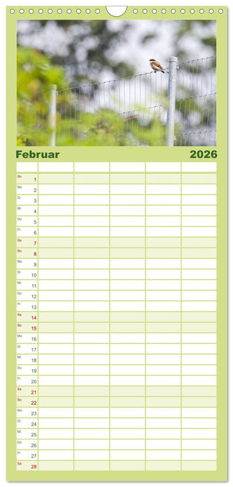 Der Neuntöter (CALVENDO Familienplaner 2026)