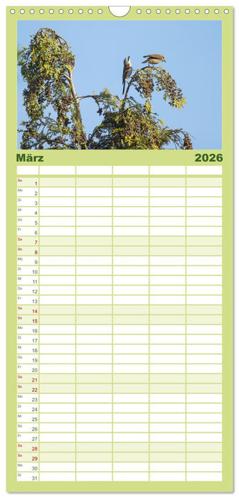 Der Neuntöter (CALVENDO Familienplaner 2026)