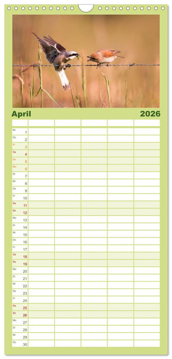 Der Neuntöter (CALVENDO Familienplaner 2026)