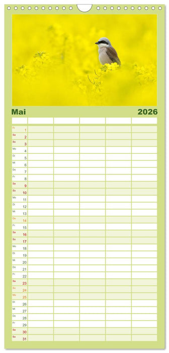 Der Neuntöter (CALVENDO Familienplaner 2026)