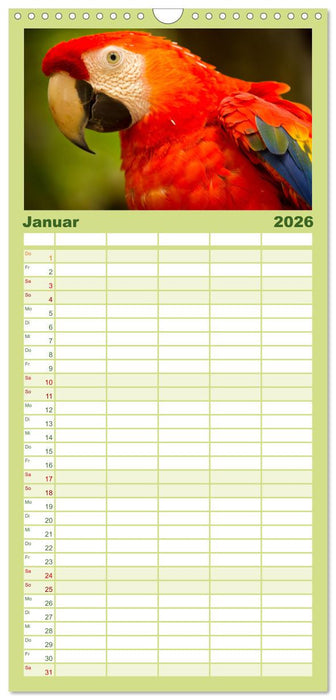 Zauberhaft Tierwelt in Costa Rica (CALVENDO Familienplaner 2026)