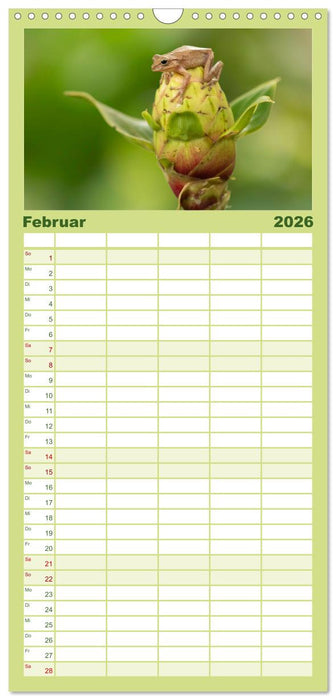 Zauberhaft Tierwelt in Costa Rica (CALVENDO Familienplaner 2026)