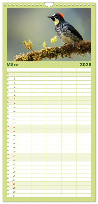 Zauberhaft Tierwelt in Costa Rica (CALVENDO Familienplaner 2026)