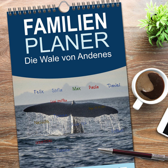 Die Wale von Andenes (CALVENDO Familienplaner 2026)
