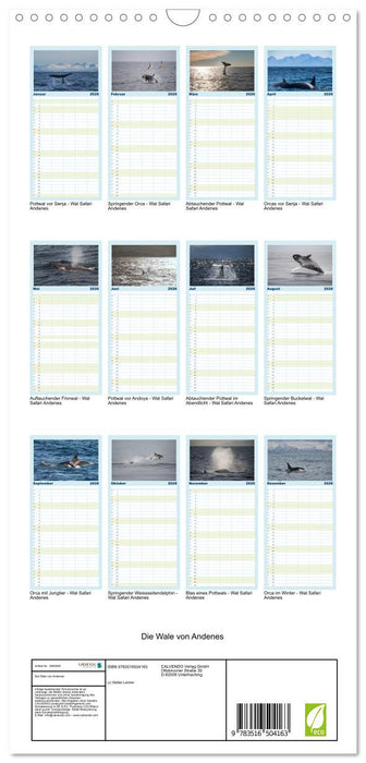 Die Wale von Andenes (CALVENDO Familienplaner 2026)