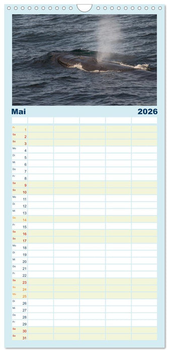 Die Wale von Andenes (CALVENDO Familienplaner 2026)
