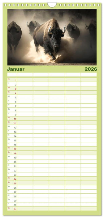 Amerikanischer Bison (CALVENDO Familienplaner 2026)