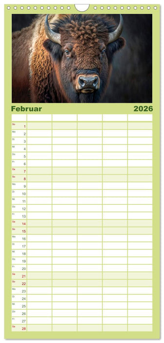 Amerikanischer Bison (CALVENDO Familienplaner 2026)