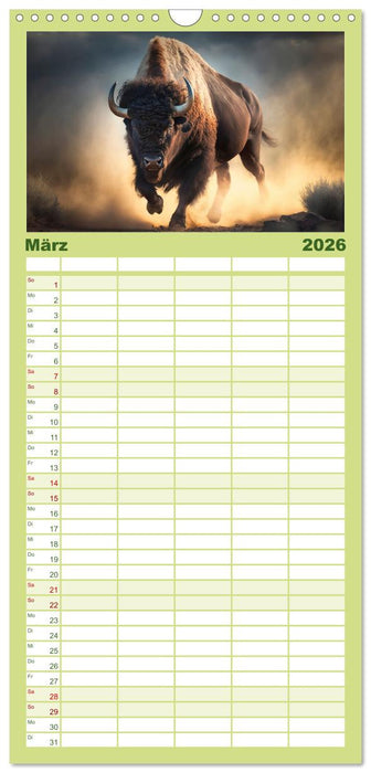 Amerikanischer Bison (CALVENDO Familienplaner 2026)